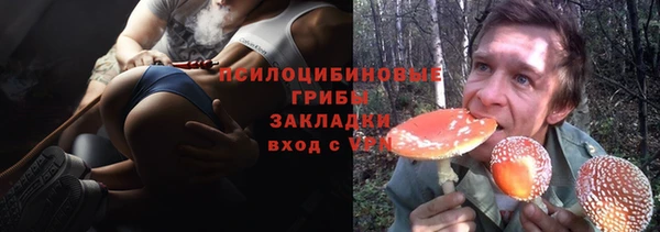 apvp Алексеевка