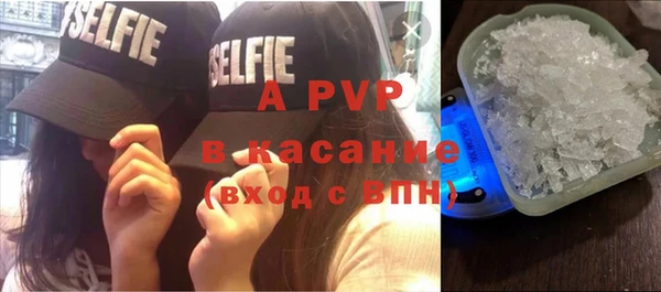 шишки Алексин