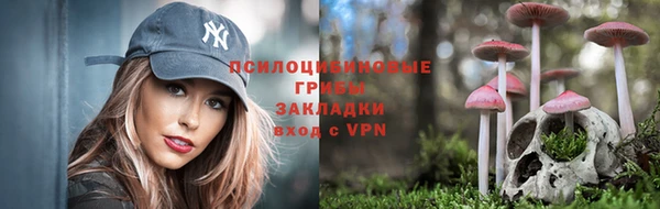 ешки Алзамай