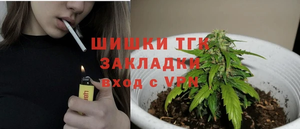 шишки Алексин