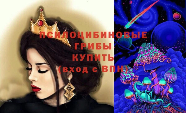 шишки Алексин