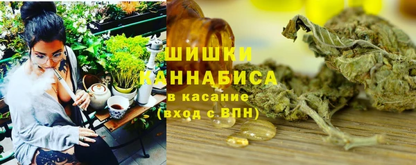 шишки Алексин