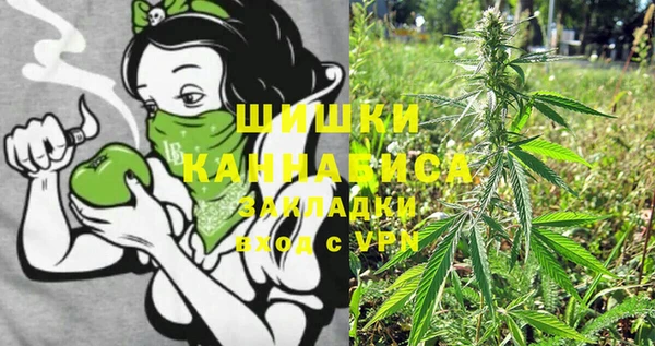 шишки Алексин