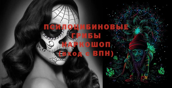 apvp Алексеевка