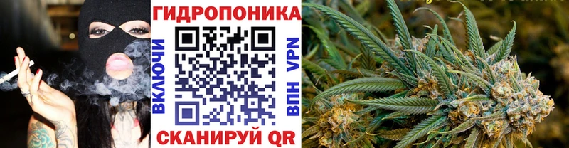 гидра ссылка  Щёлкино  Канабис сатива 